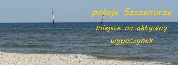 pokoje szczenurze - galeria- leba